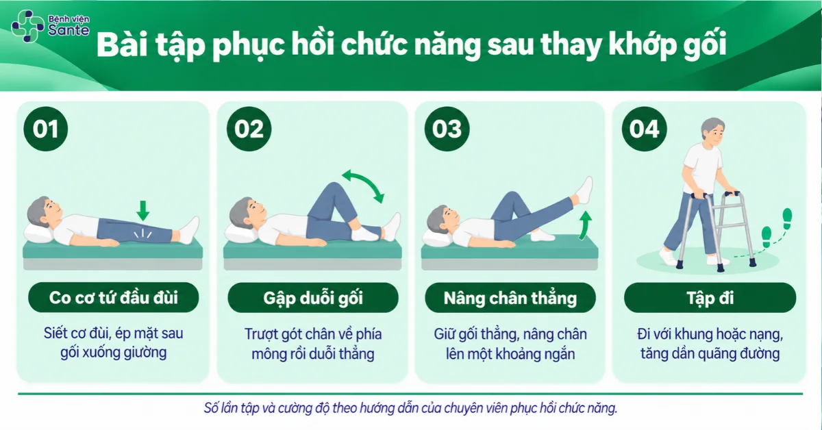 Bệnh viện Sante - Sau Thay Khớp Gối Bao Lâu Thì Đi Được? Các Mốc Phục Hồi & Bài Tập Chuẩn Y Khoa (Hình 3) 4 bài tập phục hồi chức năng cơ bản sau thay khớp gối gồm co cơ đùi, gập duỗi gối, nâng chân và tập đi
