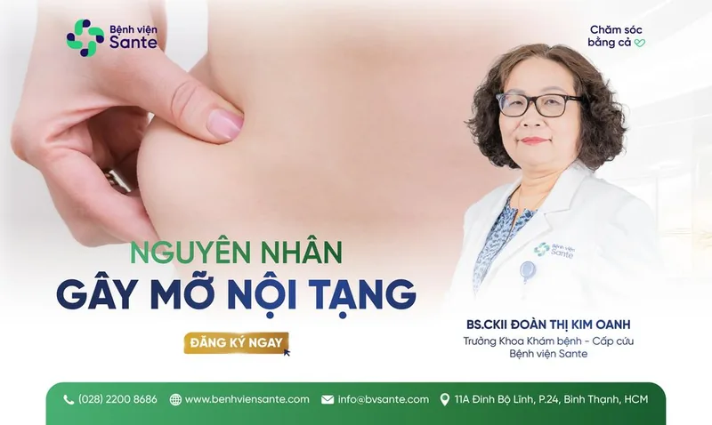 NGUYÊN NHÂN GÂY MỠ NỘI TẠNG