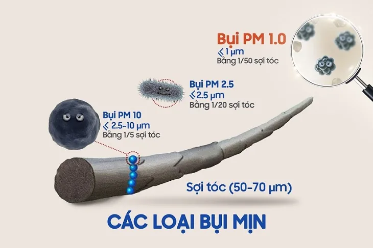 BẢO VỆ SỨC KHOẺ DƯỚI TÁC ĐỘNG CỦA BỤI MỊN - Hình 2 - Bệnh viện SANTE Bình Thạnh, TP.HCM