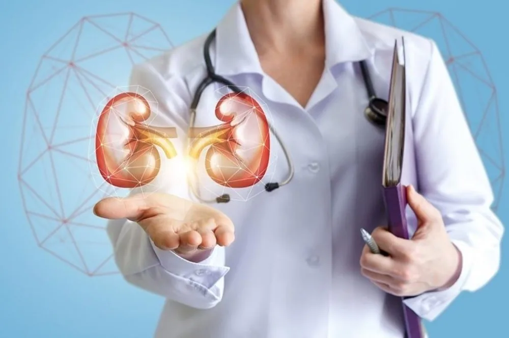 Làm thế nào để giảm tiến triển bệnh thận mạn - Hình 2 - Bệnh viện SANTE Bình Thạnh, TP.HCM