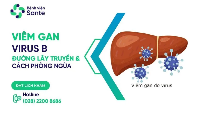 Viêm gan virus B: Đường lấy truyền và cách phòng ngừa