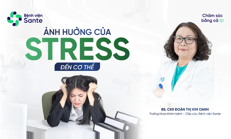 10 ảnh hưởng của stress đến cơ thể khiến bạn mệt mỏi mỗi ngày