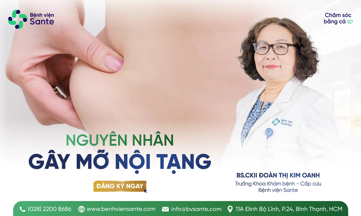 내장지방의 원인 - SANTE 병원 빈탄, 호치민시