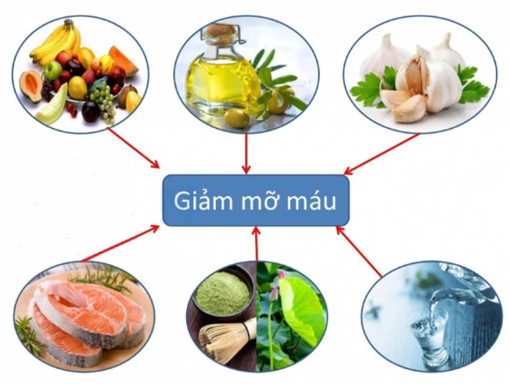Rối loạn Lipid máu và nguy cơ bệnh tim mạch - Hình 3 - Bệnh viện SANTE Bình Thạnh, TP.HCM