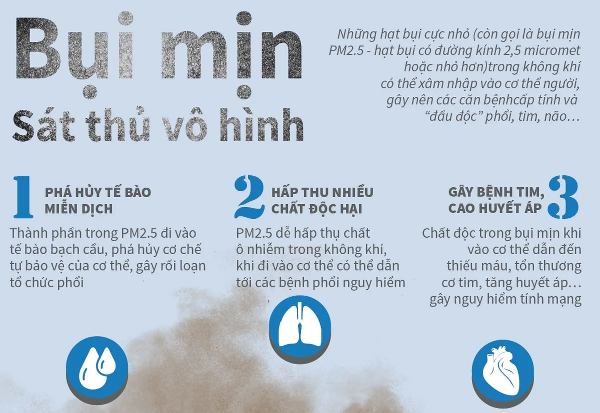 HARMFUL EFFECTS OF FINE PARTICULATE MATTER ON HUMAN HEALTH - Image 2 - SANTE Hospital, Binh Thanh, HCMC